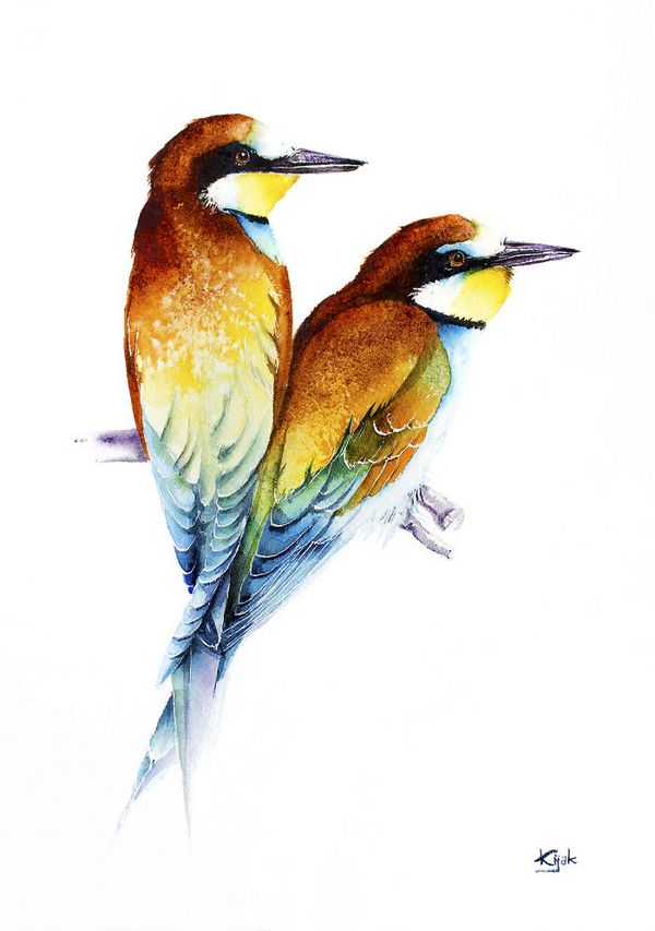 اظهار عشق به پرندگان با نقاشی از آنها