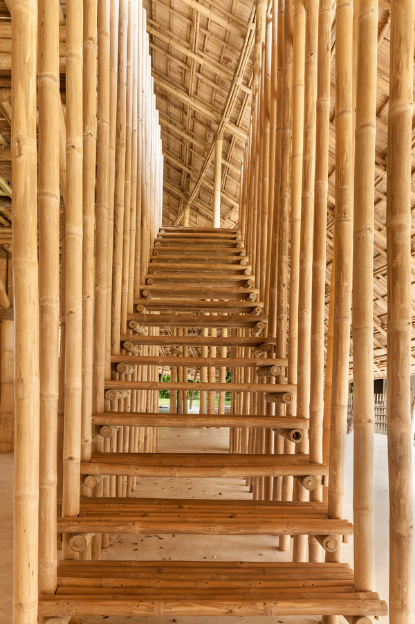 سازه ای ساخته شده از بامبو : تی پی بین
