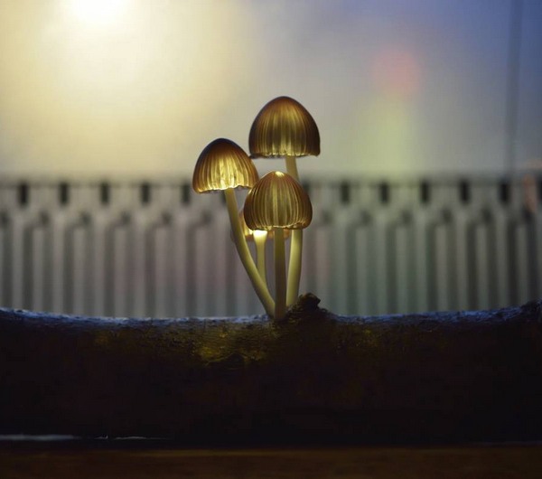 طراحی چراغ خواب هایی به شکل قارچ